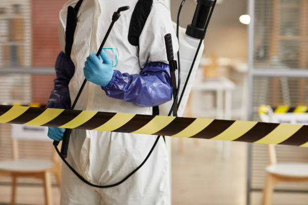 Professional Sewage Cleanup technician working in Taftville, CT